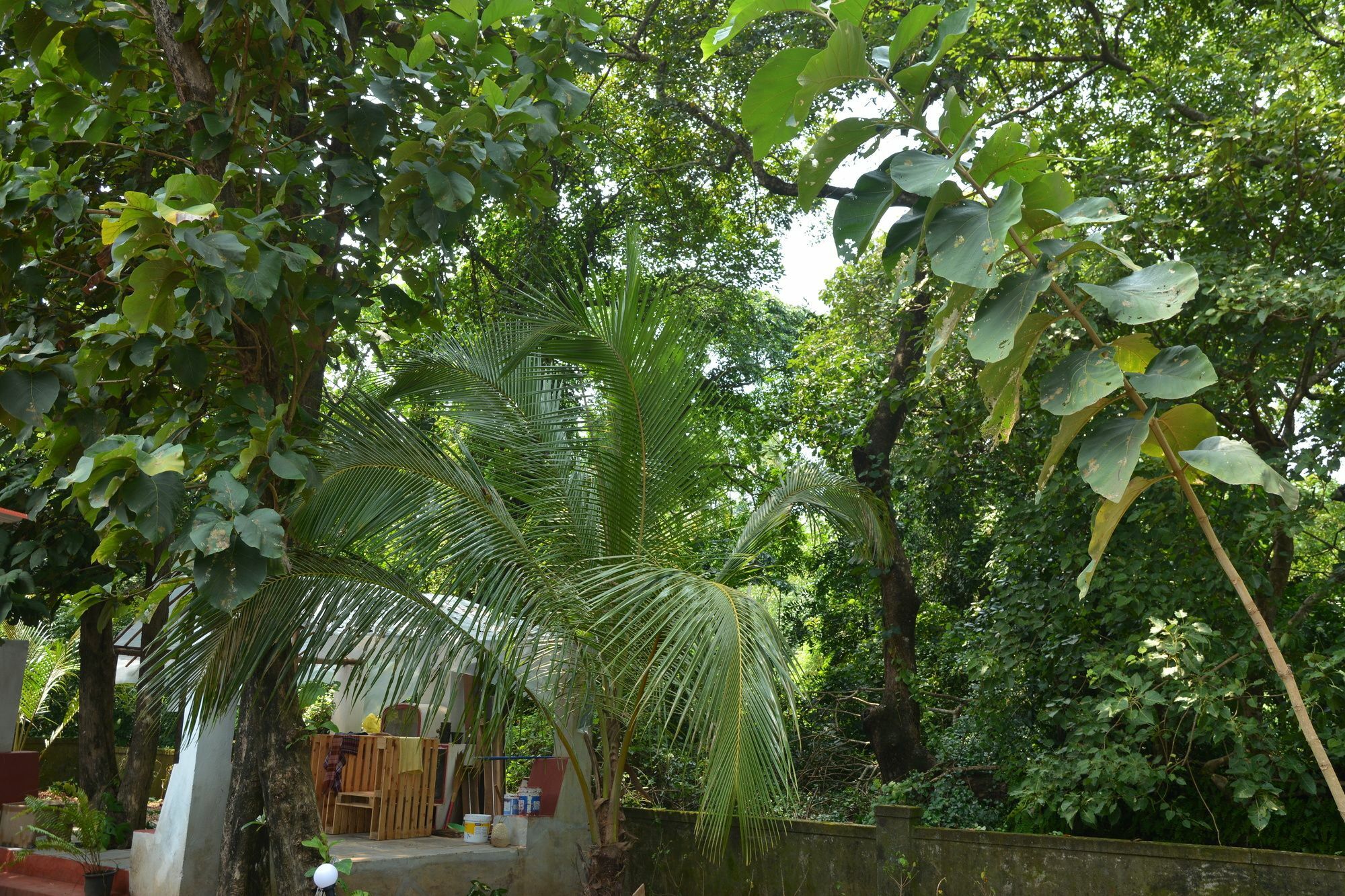 Folklore Hostel Goa Vagator Zewnętrze zdjęcie